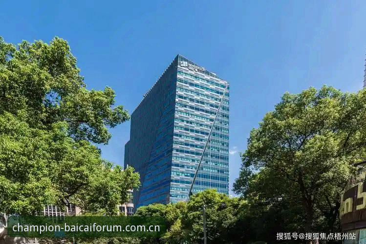 冠军白菜网论坛直达通道 vs 全网搜索：哪种方式更高效？2024最新功能详解对比